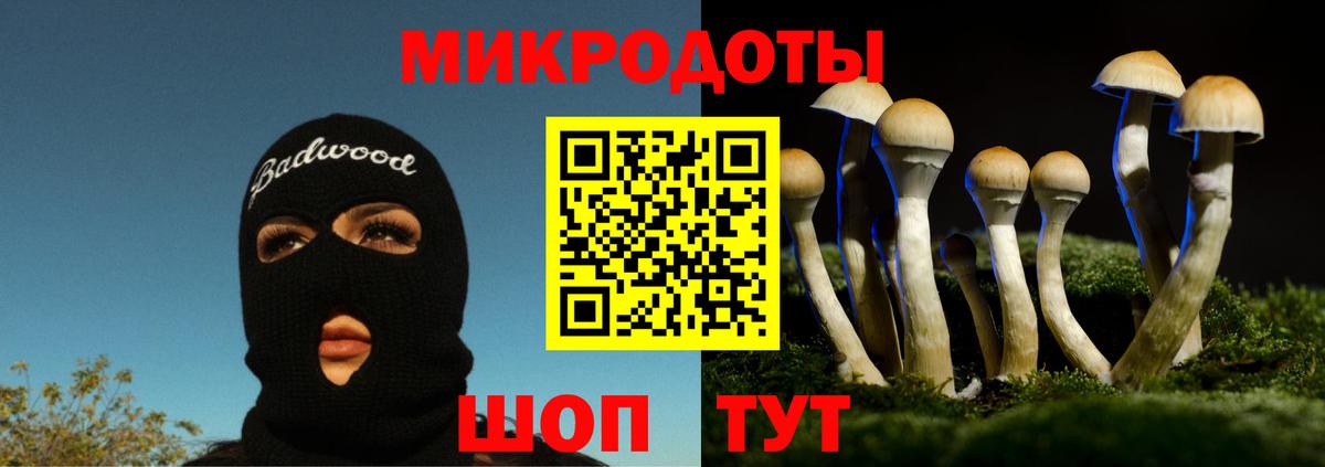 Галлюциногенные грибы мухоморы  Галлюциногенные грибы прущие грибы  Семёнов  Вход с VPN 